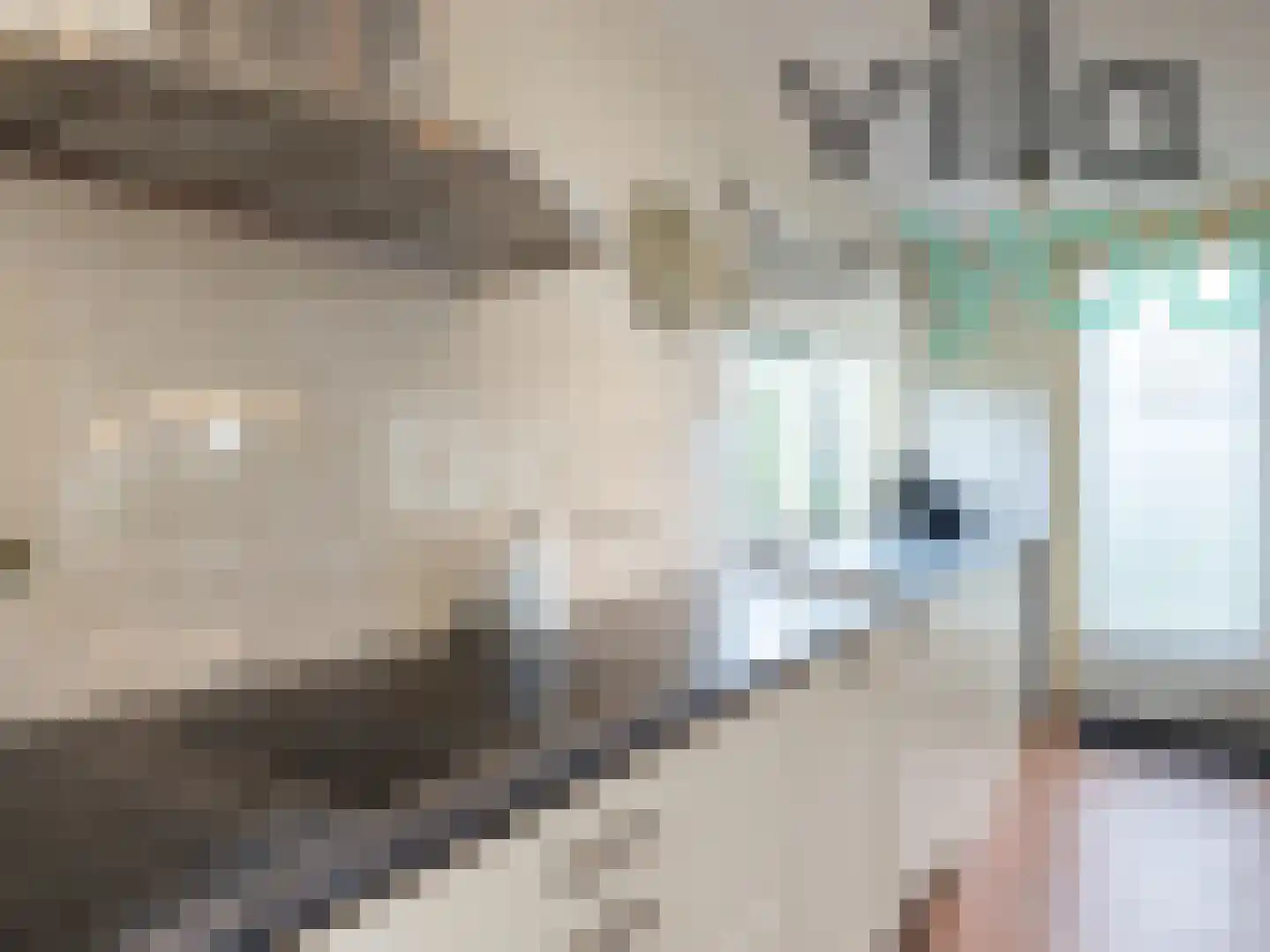 De Stringen 30 Koudum thumbnail 6