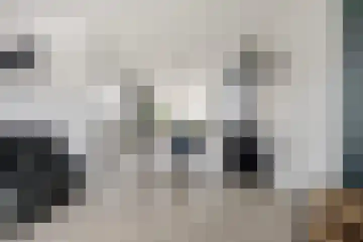 De Stringen 5 Hallum thumbnail 10