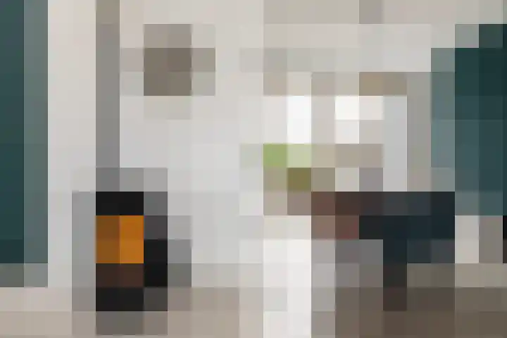 De Stringen 5 Hallum thumbnail 11