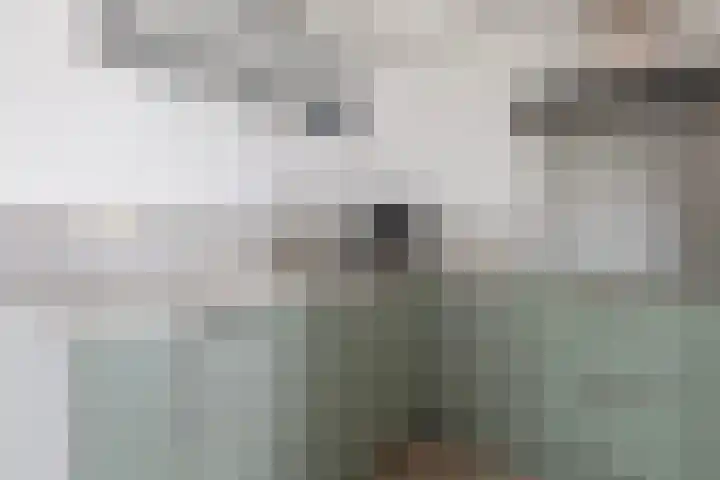 De Stringen 5 Hallum thumbnail 17