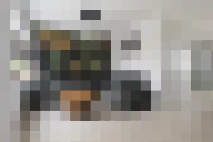 De Stringen 5 Hallum foto 2