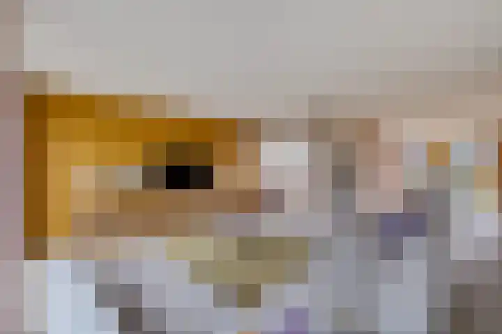 De Stringen 5 Hallum thumbnail 22