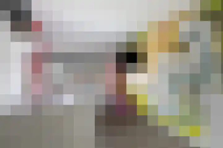 De Stringen 5 Hallum thumbnail 28