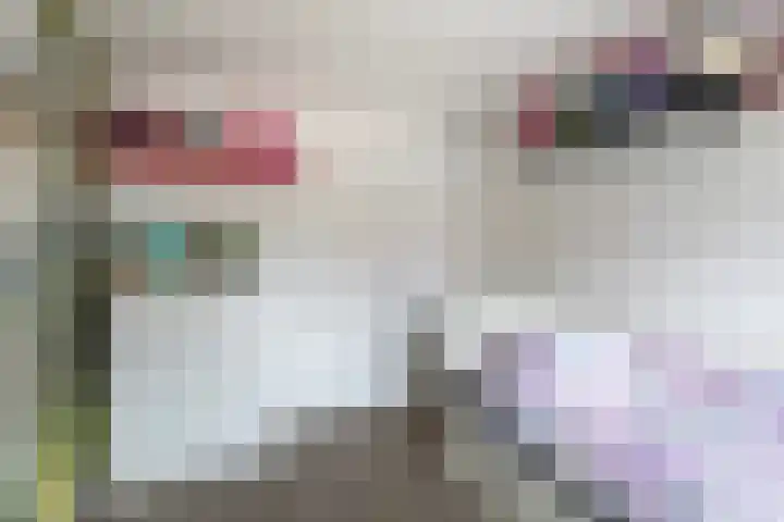 De Stringen 5 Hallum thumbnail 29