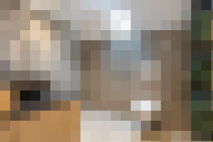 De Stringen 5 Hallum thumbnail 32