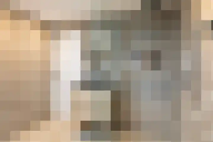 De Stringen 5 Hallum thumbnail 34