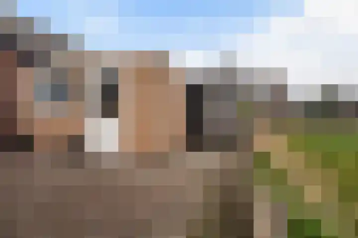 De Stringen 5 Hallum thumbnail 41