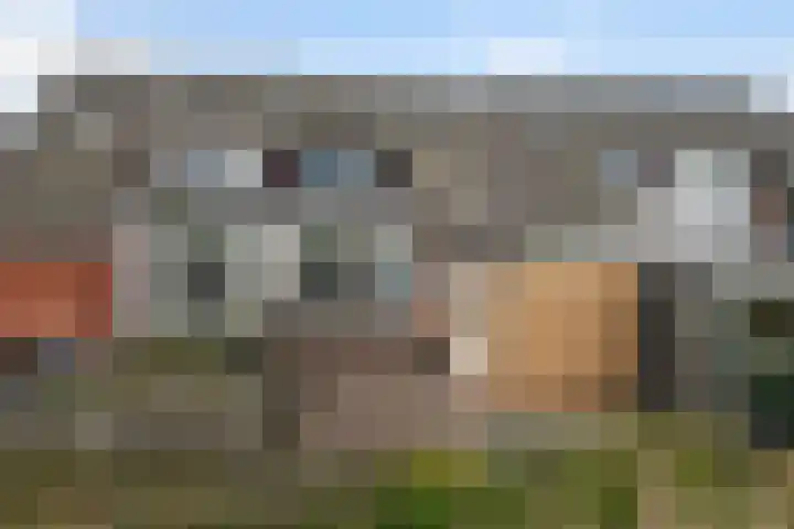 De Stringen 5 Hallum thumbnail 42