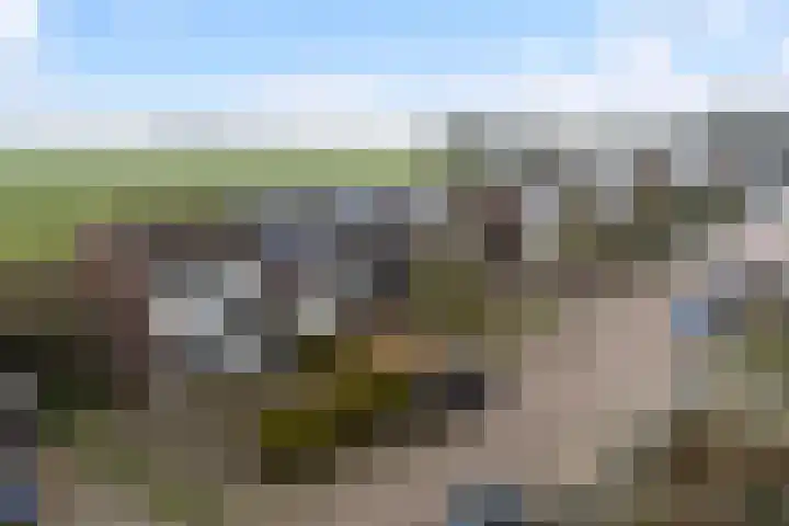 De Stringen 5 Hallum thumbnail 46