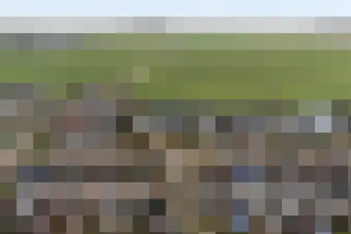 De Stringen 5 Hallum thumbnail 48