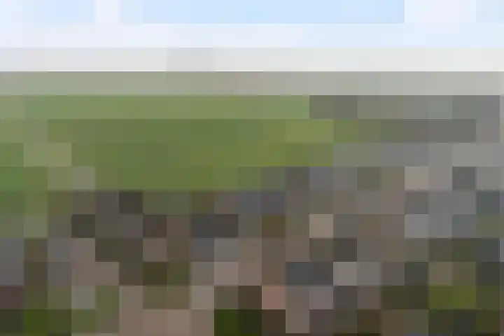 De Stringen 5 Hallum thumbnail 49