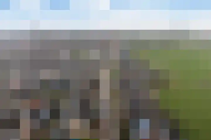 De Stringen 5 Hallum thumbnail 50