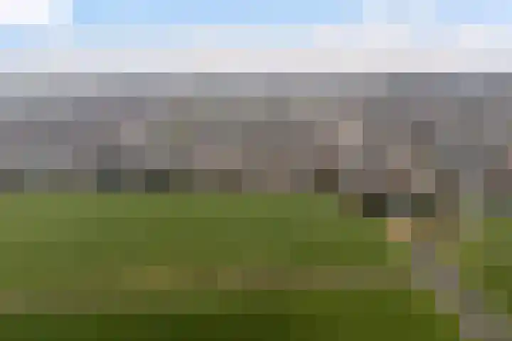 De Stringen 5 Hallum thumbnail 51