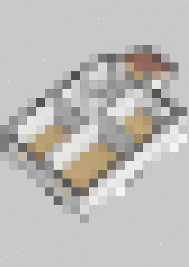 De Stringen 5 Hallum thumbnail 55