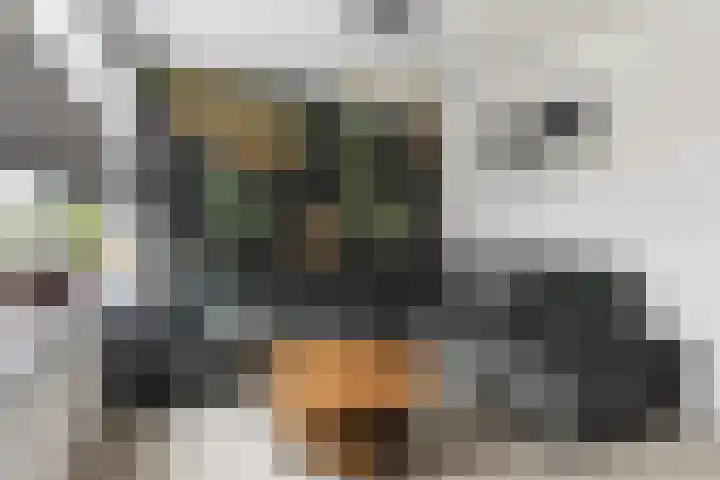 De Stringen 5 Hallum thumbnail 6