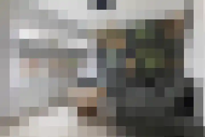 De Stringen 5 Hallum thumbnail 7