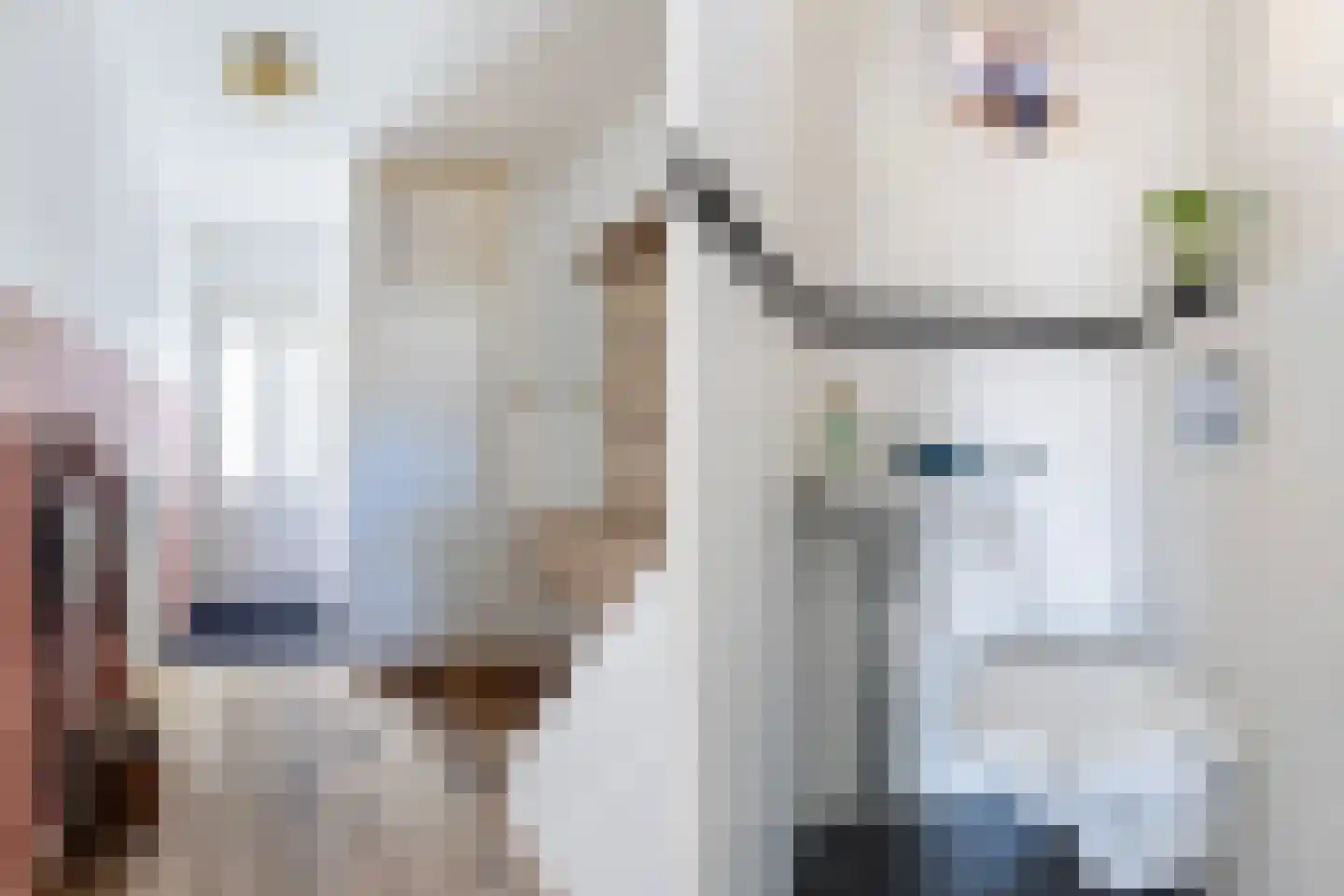 De Stringen 6 Hallum thumbnail 12