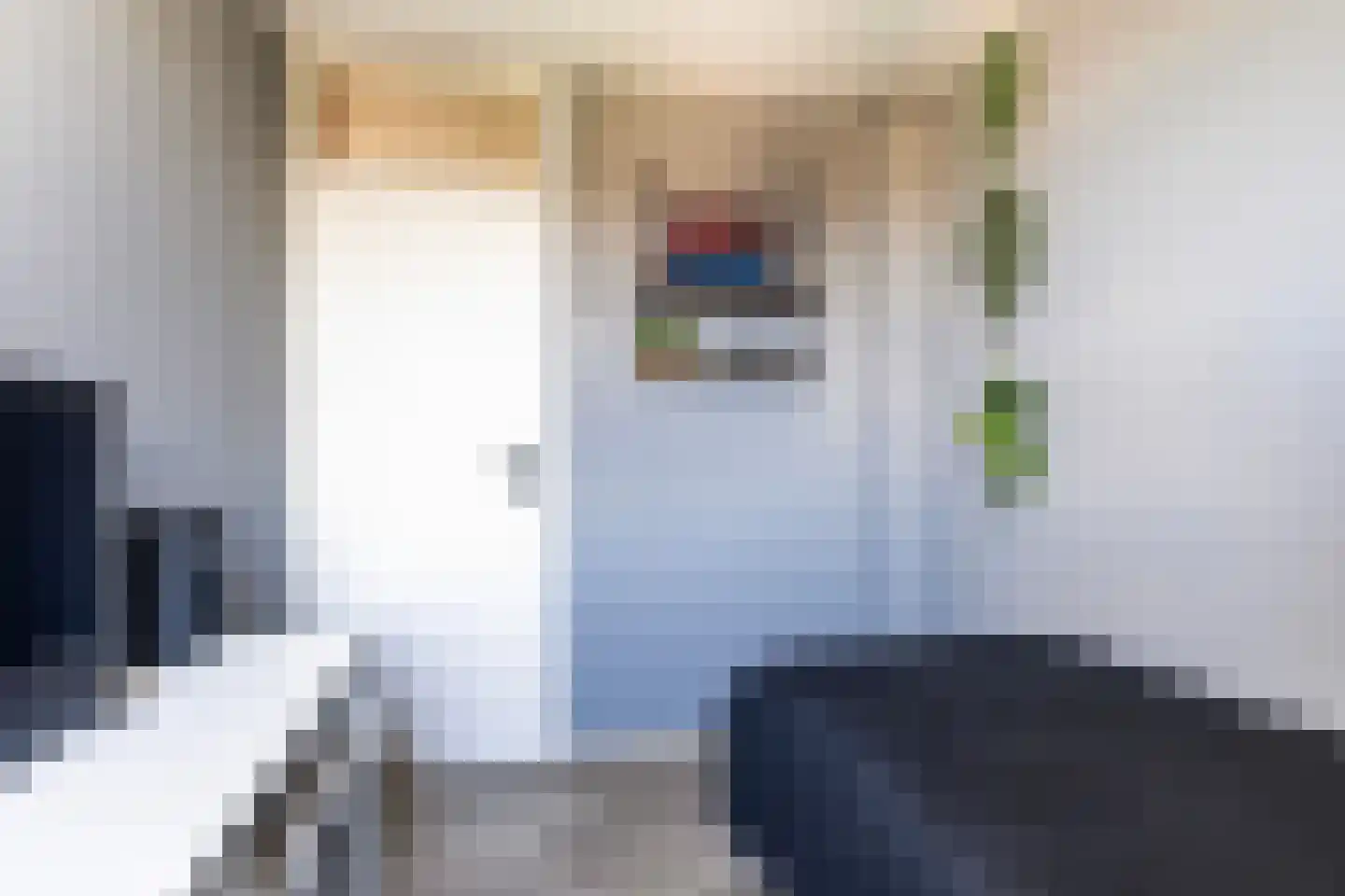 De Stringen 6 Hallum thumbnail 19