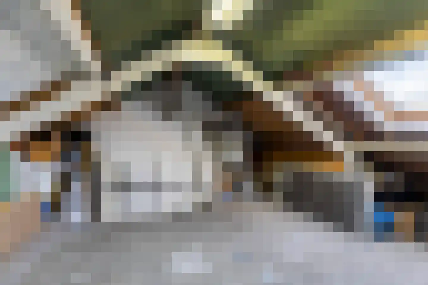 De Stringen 6 Hallum thumbnail 26