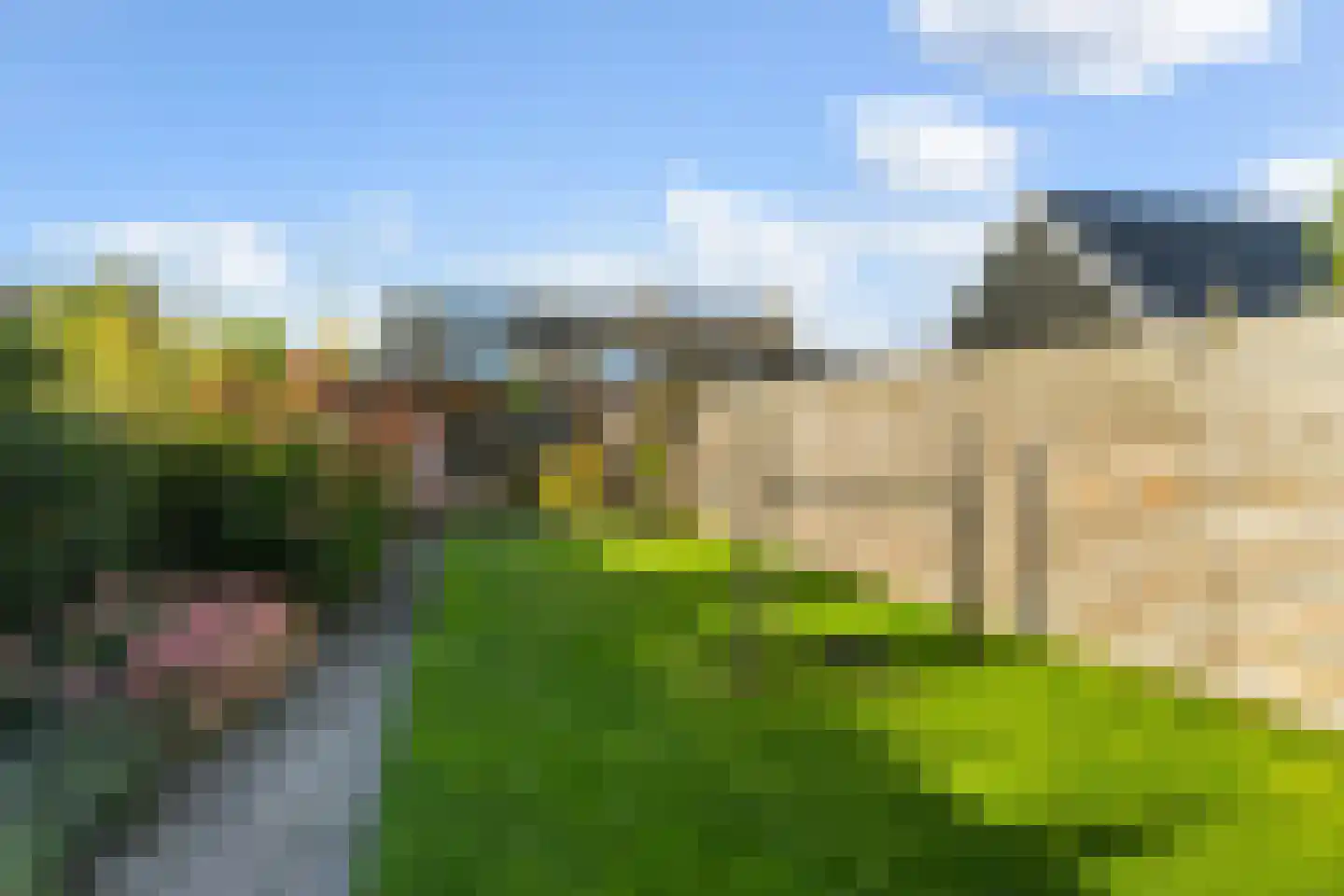 De Stringen 6 Hallum thumbnail 32