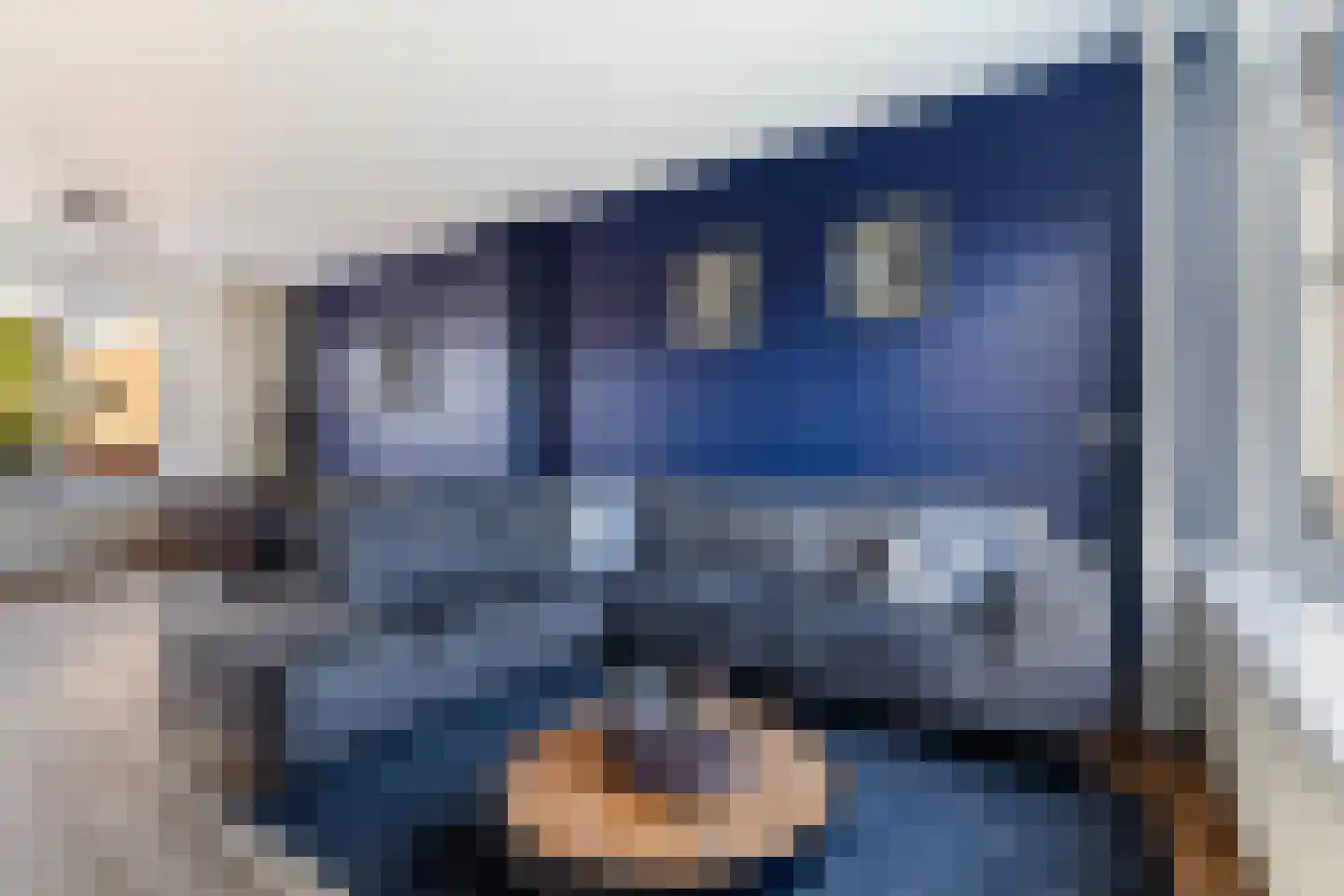 De Stringen 6 Hallum thumbnail 5