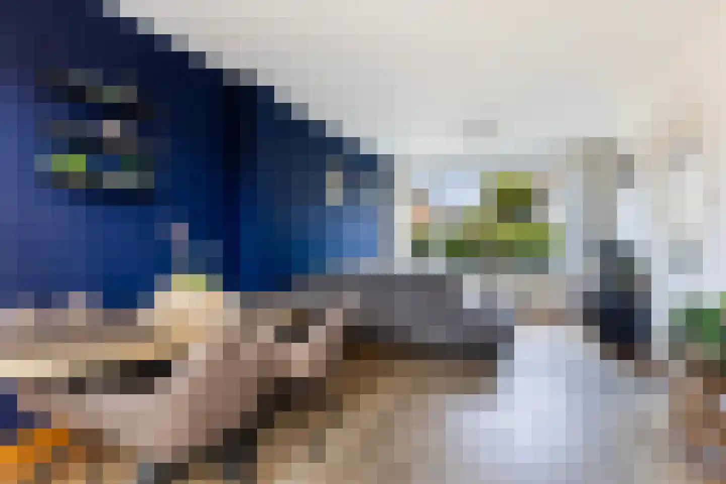 De Stringen 6 Hallum thumbnail 7