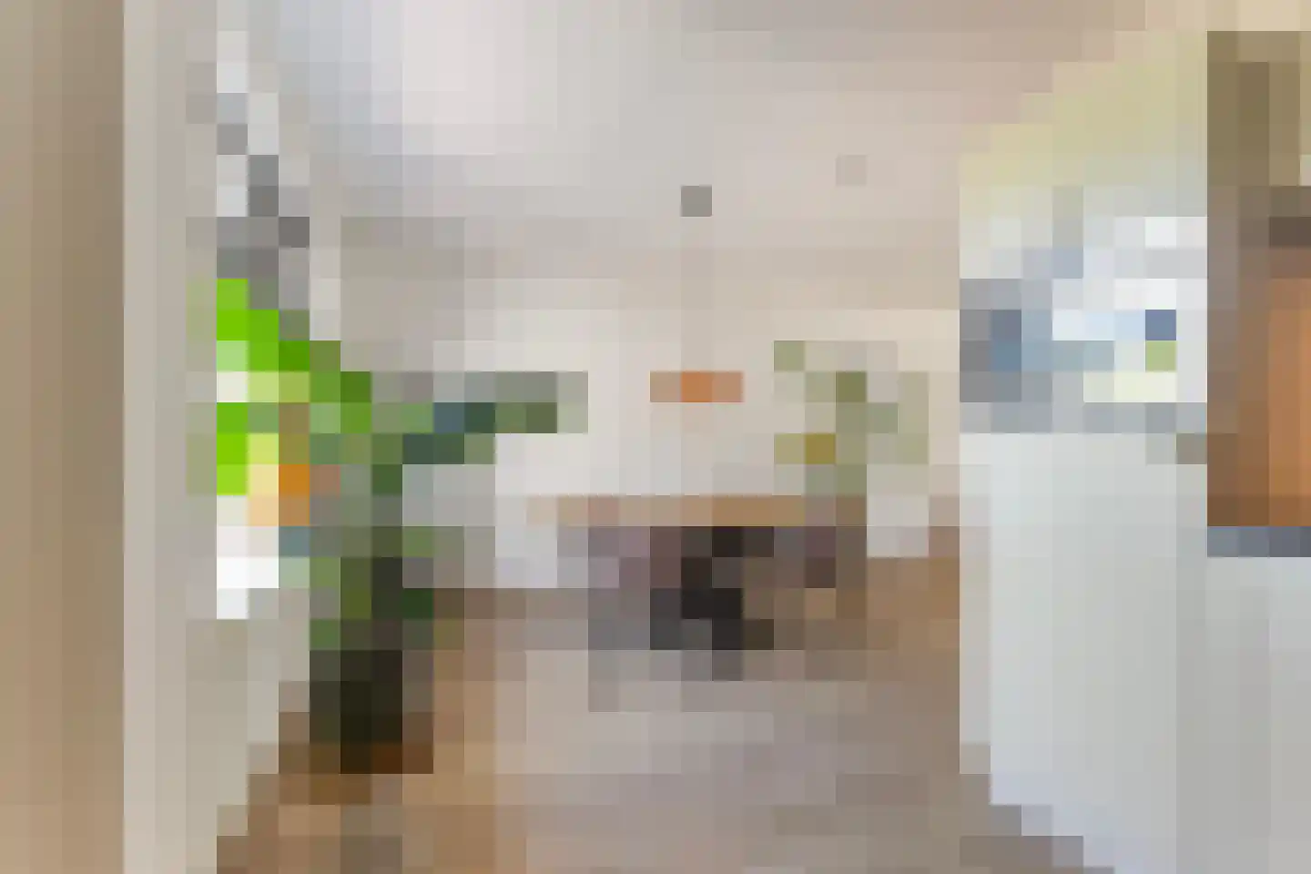 De Stripe 14 Stiens thumbnail 10