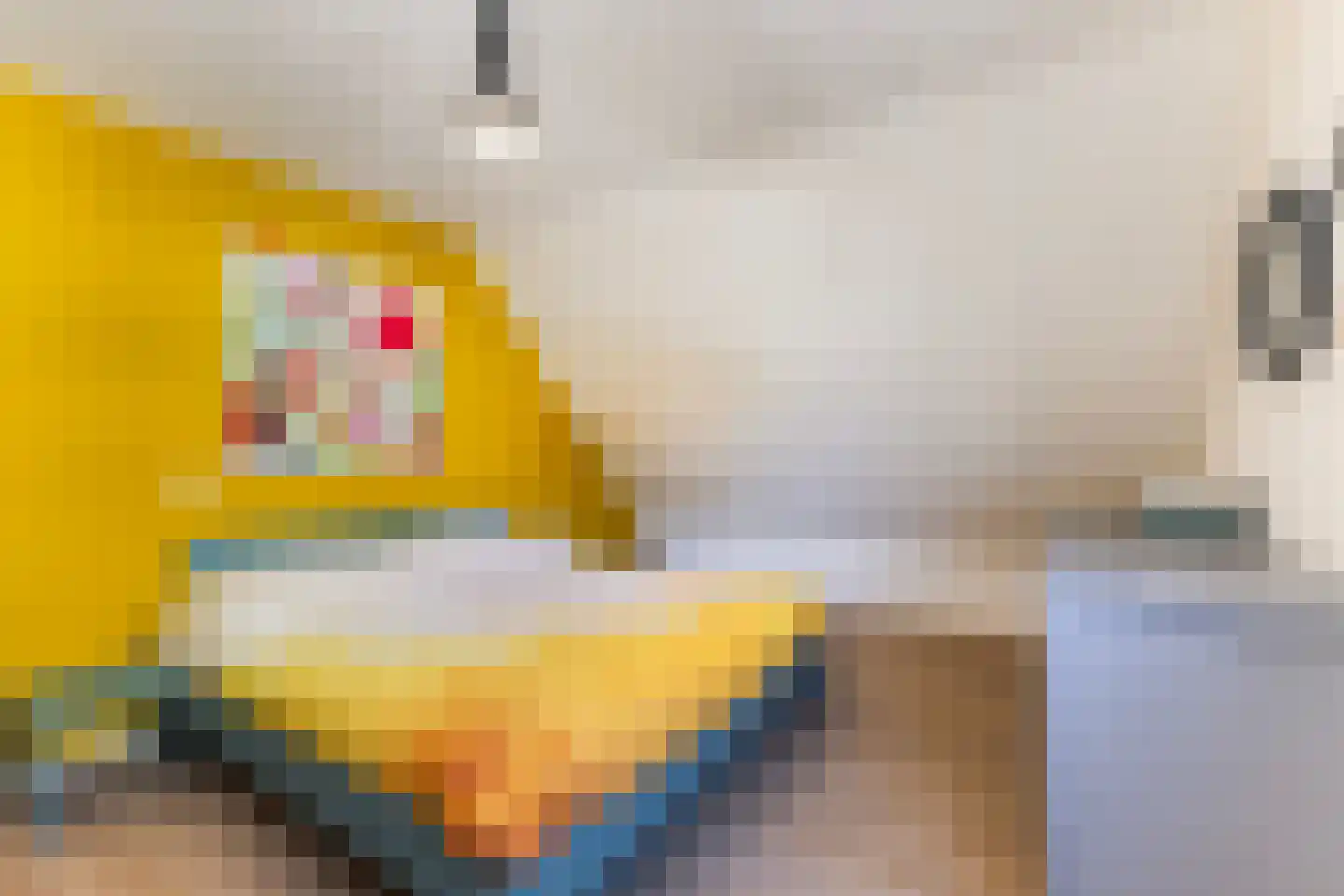 De Stripe 14 Stiens thumbnail 19