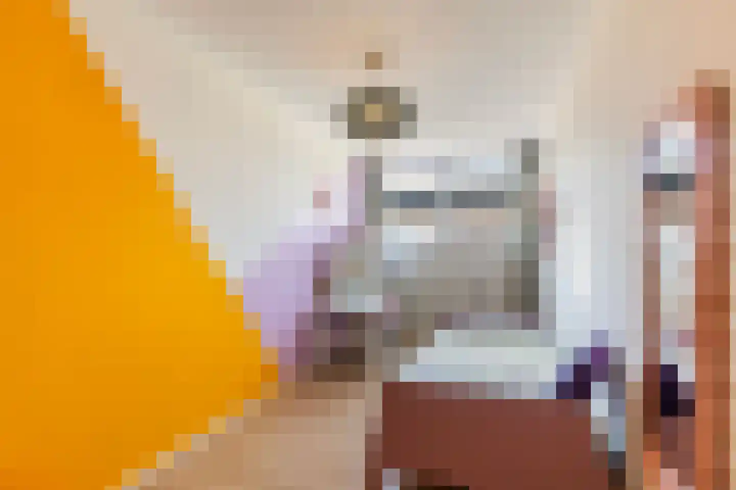 De Stripe 14 Stiens thumbnail 22