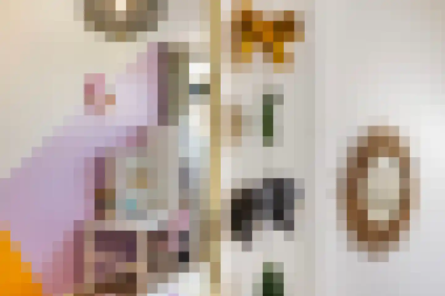 De Stripe 14 Stiens thumbnail 24