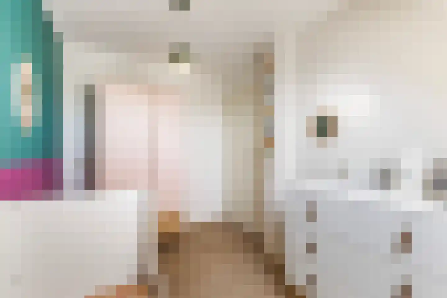 De Stripe 14 Stiens thumbnail 26