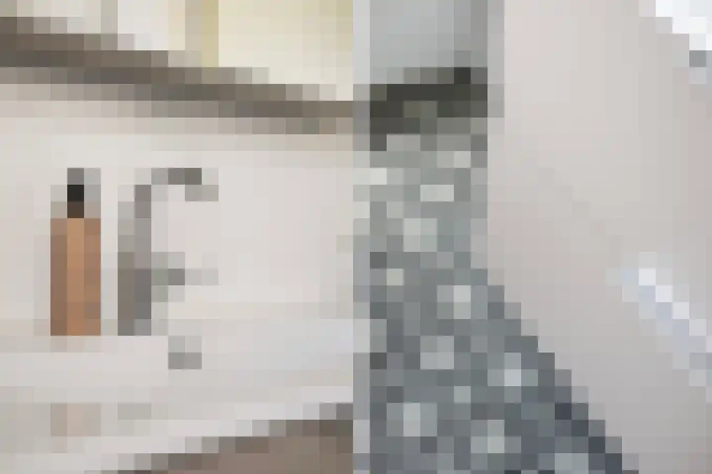 De Stripe 14 Stiens thumbnail 28