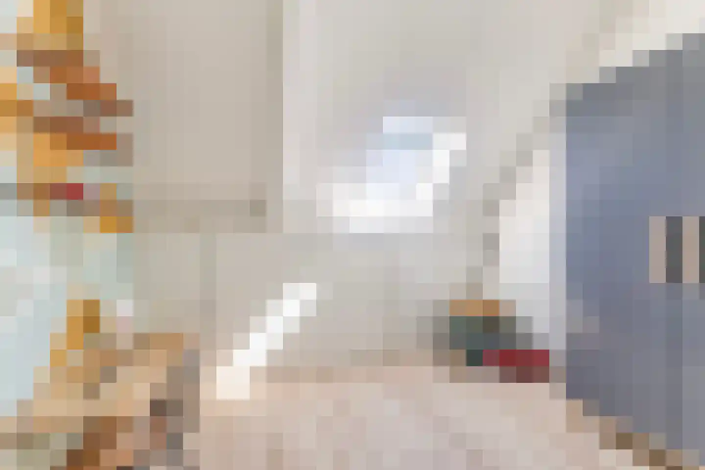 De Stripe 14 Stiens thumbnail 33