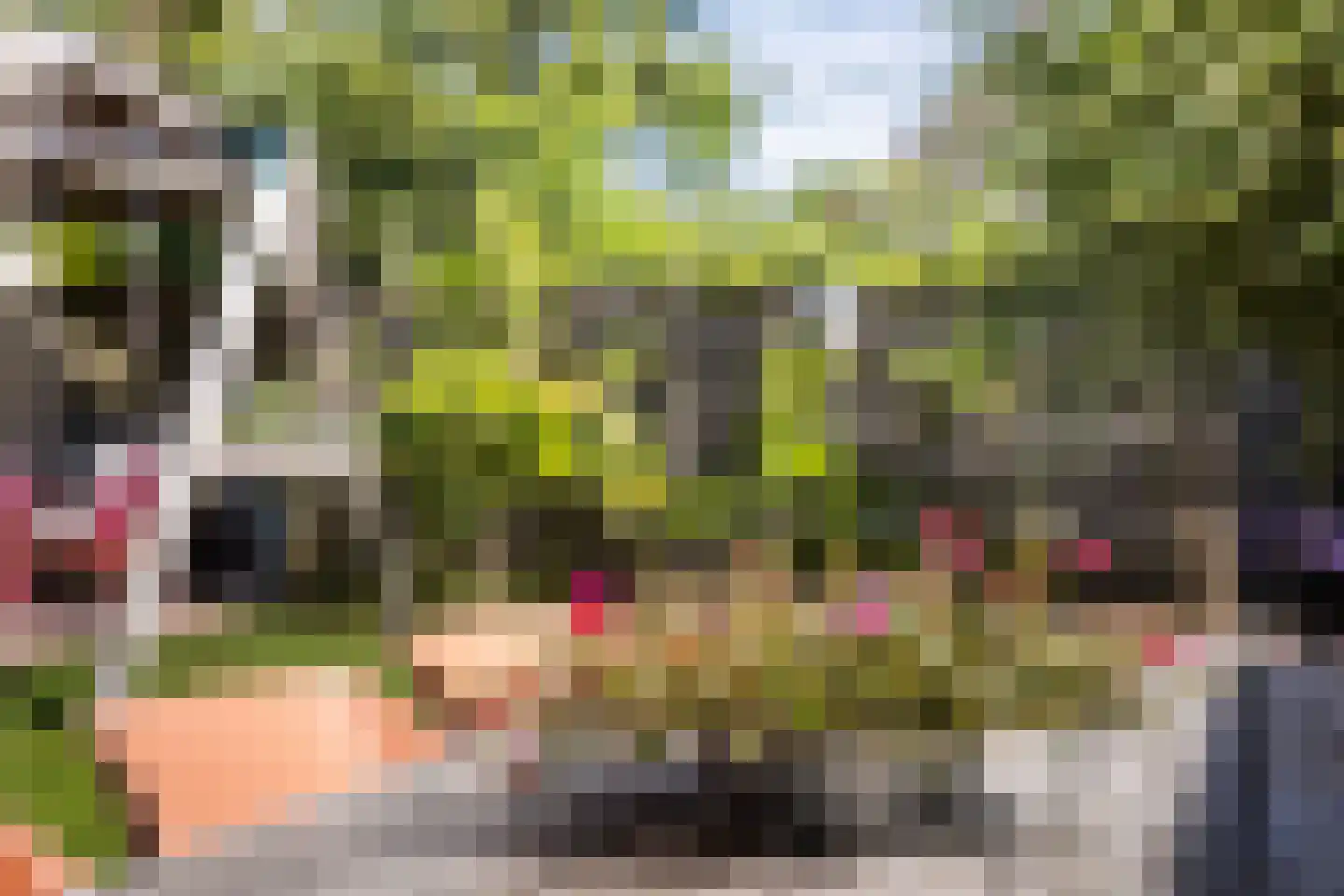 De Stripe 14 Stiens thumbnail 36