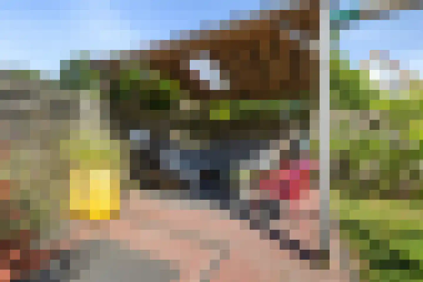 De Stripe 14 Stiens thumbnail 37