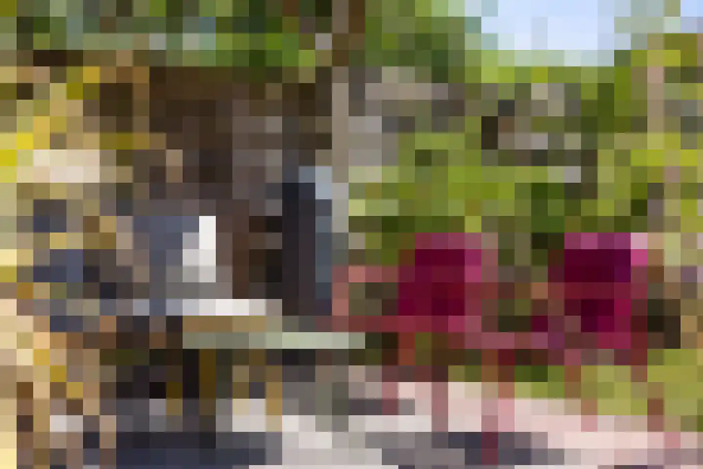 De Stripe 14 Stiens thumbnail 39