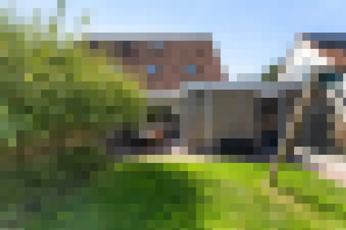 De Stripe 14 Stiens thumbnail 42