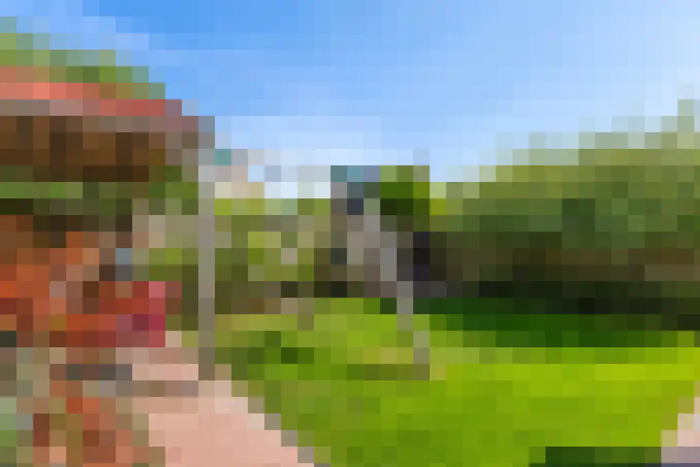 De Stripe 14 Stiens thumbnail 43