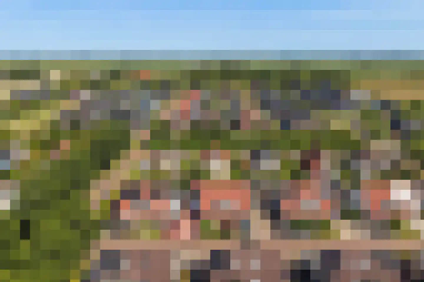 De Stripe 14 Stiens thumbnail 49