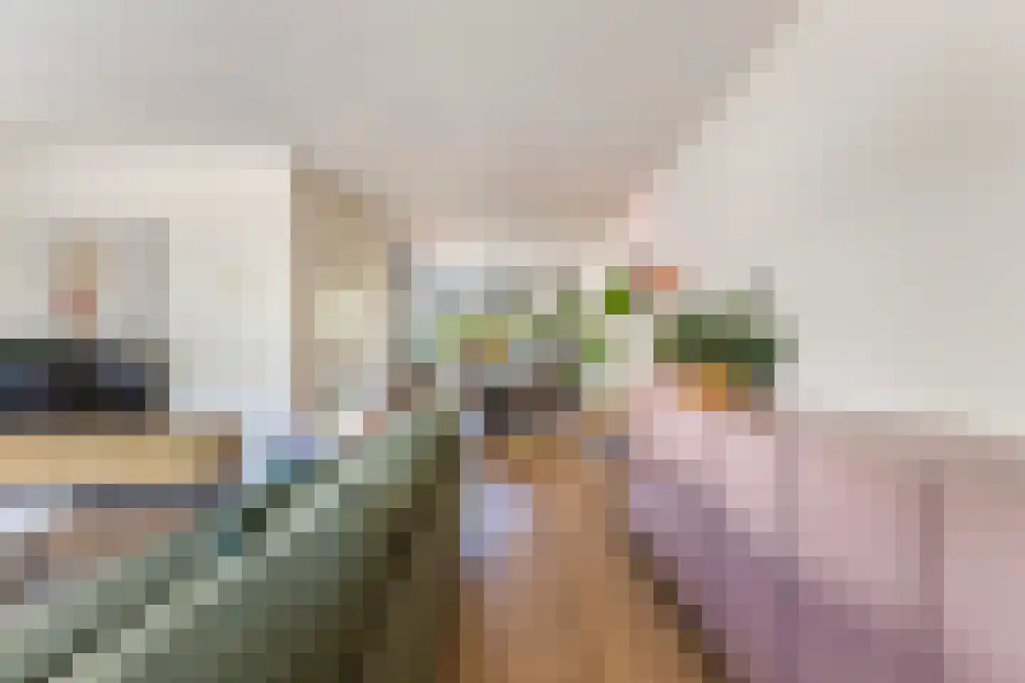De Stripe 14 Stiens thumbnail 7