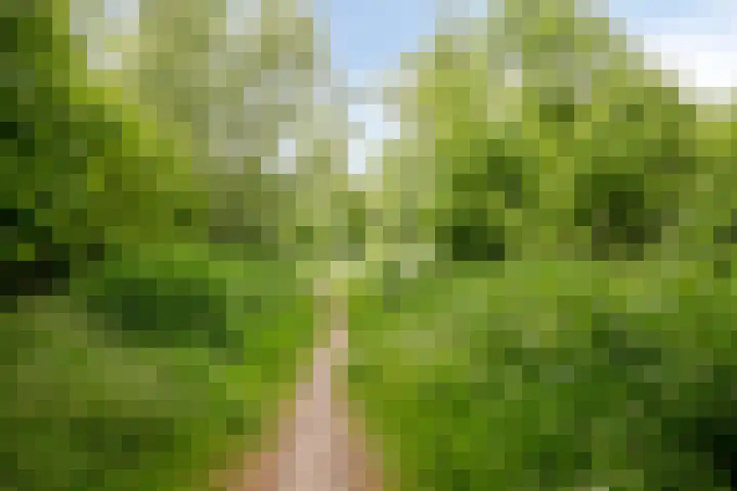 De Stripmaker 28 Almere thumbnail 32