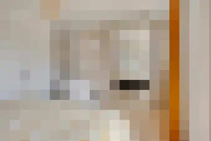 De Stripmaker 4 Almere thumbnail 14