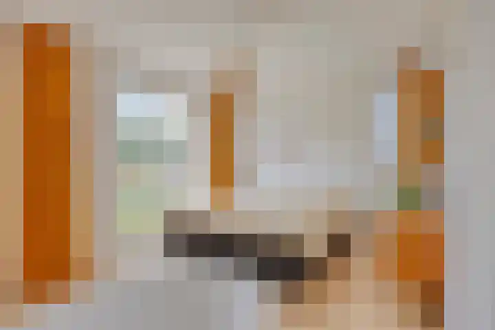 De Stripmaker 4 Almere thumbnail 16