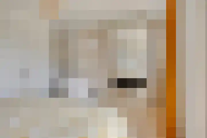 De Stripmaker 4 Almere thumbnail 17