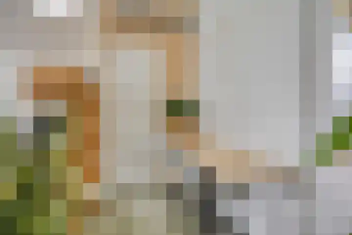 De Stripmaker 4 Almere thumbnail 24