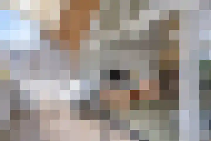 De Stripmaker 4 Almere thumbnail 28