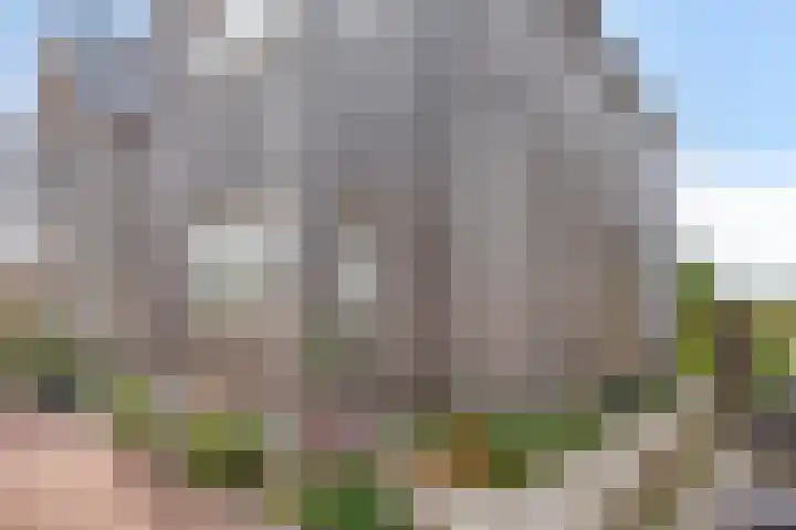 De Stripmaker 4 Almere thumbnail 6