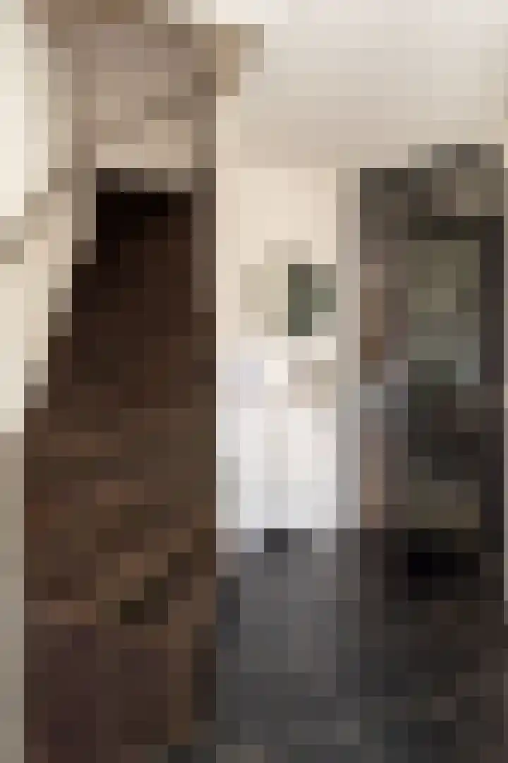 De Stroekeld 100 Rijssen thumbnail 12
