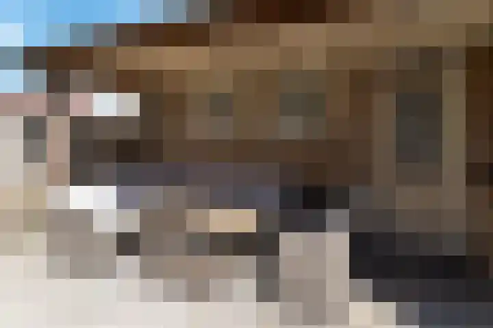 De Stroekeld 100 Rijssen thumbnail 30