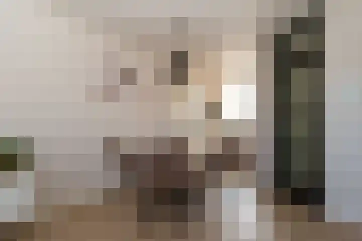 De Stroekeld 100 Rijssen thumbnail 7